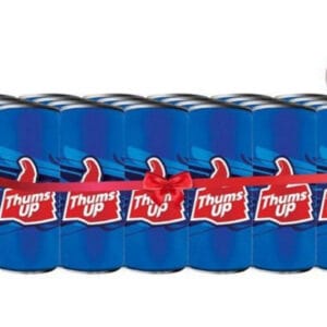 Thumsup Can Box 24*300ml