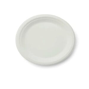 9″ Paper Plates 100Pcs