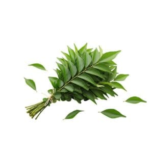 Bundle of fresh green laurel leaves tied with twine at the stems, scattered greenery around it - Curry Leaves Each Bag