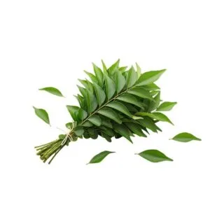 Bundle of fresh green laurel leaves tied with twine at the stems, scattered greenery around it - Curry Leaves Each Bag