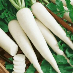 Fresh daikon radishes with green tops arranged in a wooden basket, some slices showing. - Muli