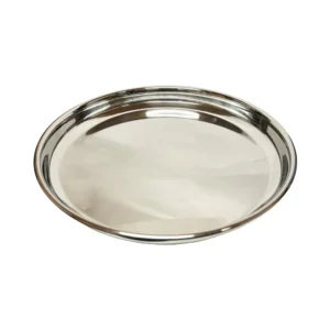 Round stainless steel plate with a raised rim on a white background - Vego China Plate 10″