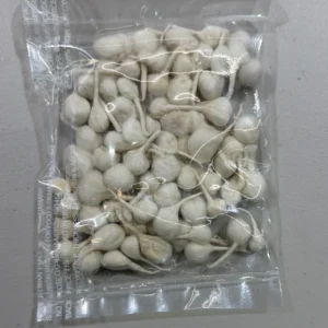 One Stop Round Diva Vat 60pcs